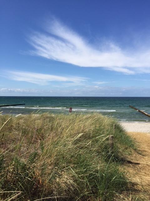 Grosse Kirr Villa Zingst Ngoại thất bức ảnh
