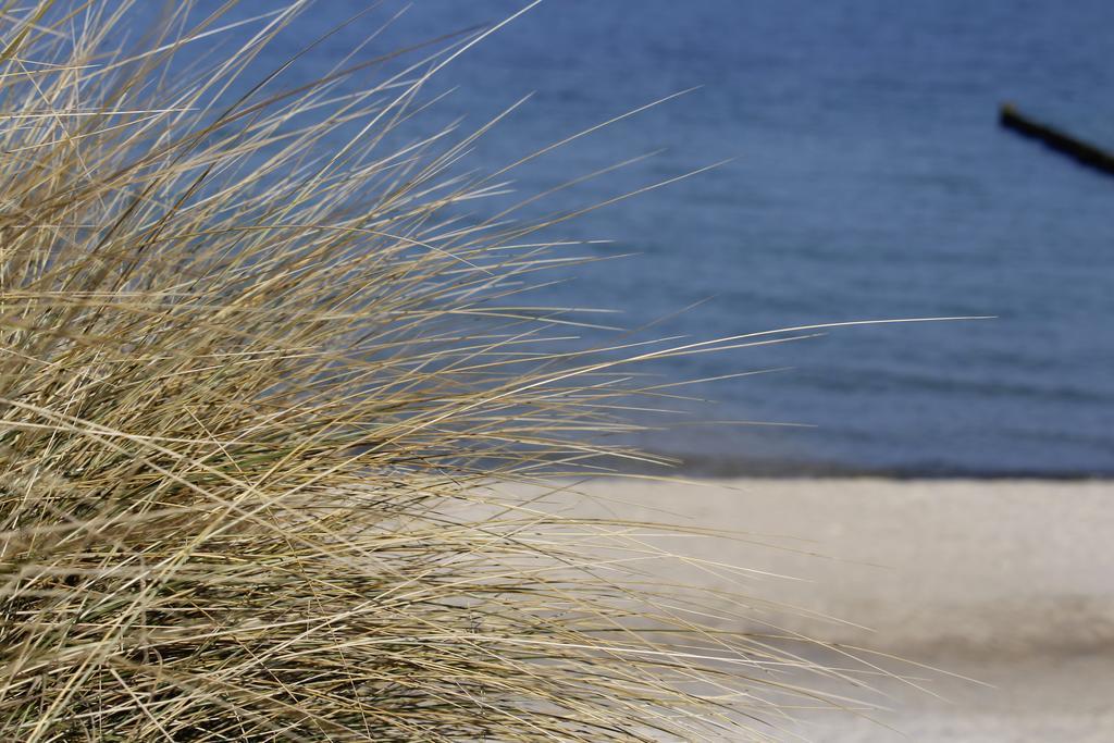 Grosse Kirr Villa Zingst Ngoại thất bức ảnh